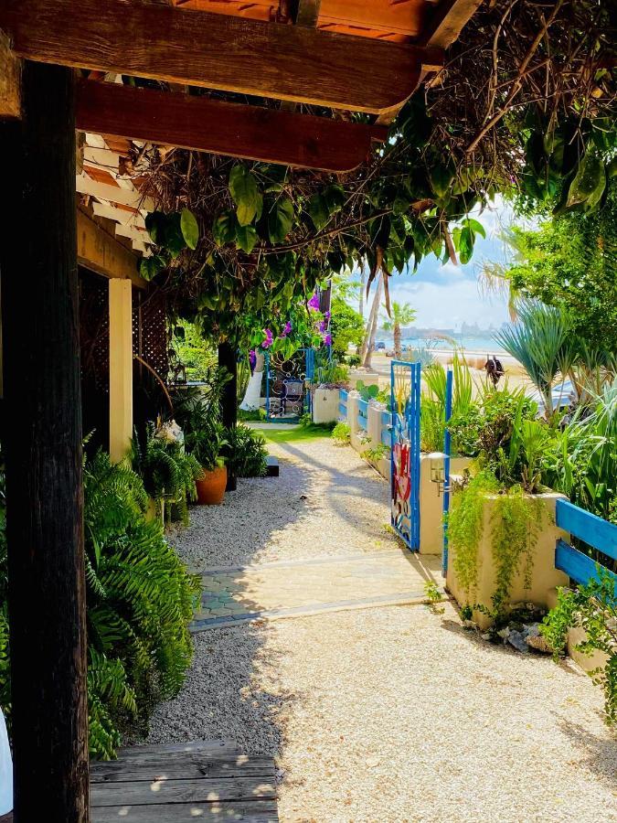Aruba Sunset Beach Studios Palm Beach Екстер'єр фото
