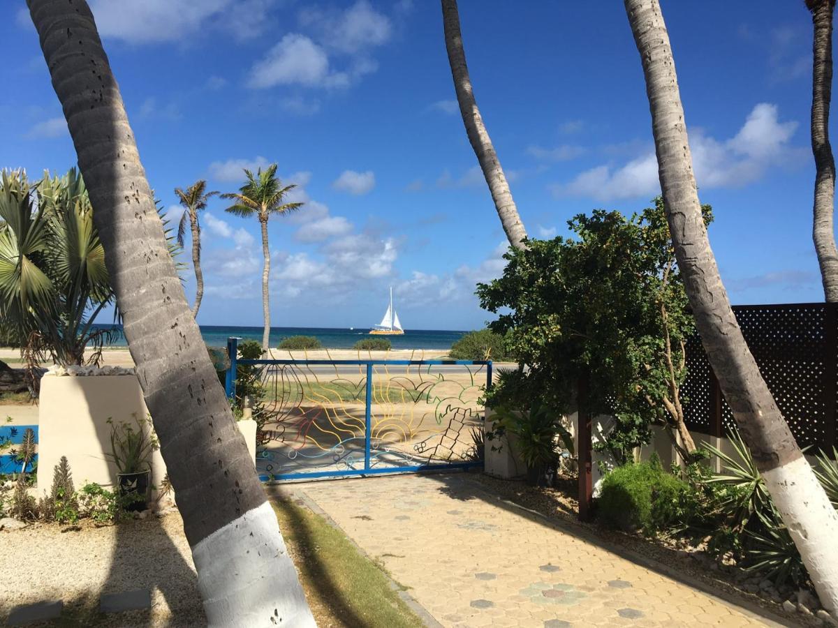 Aruba Sunset Beach Studios Palm Beach Екстер'єр фото