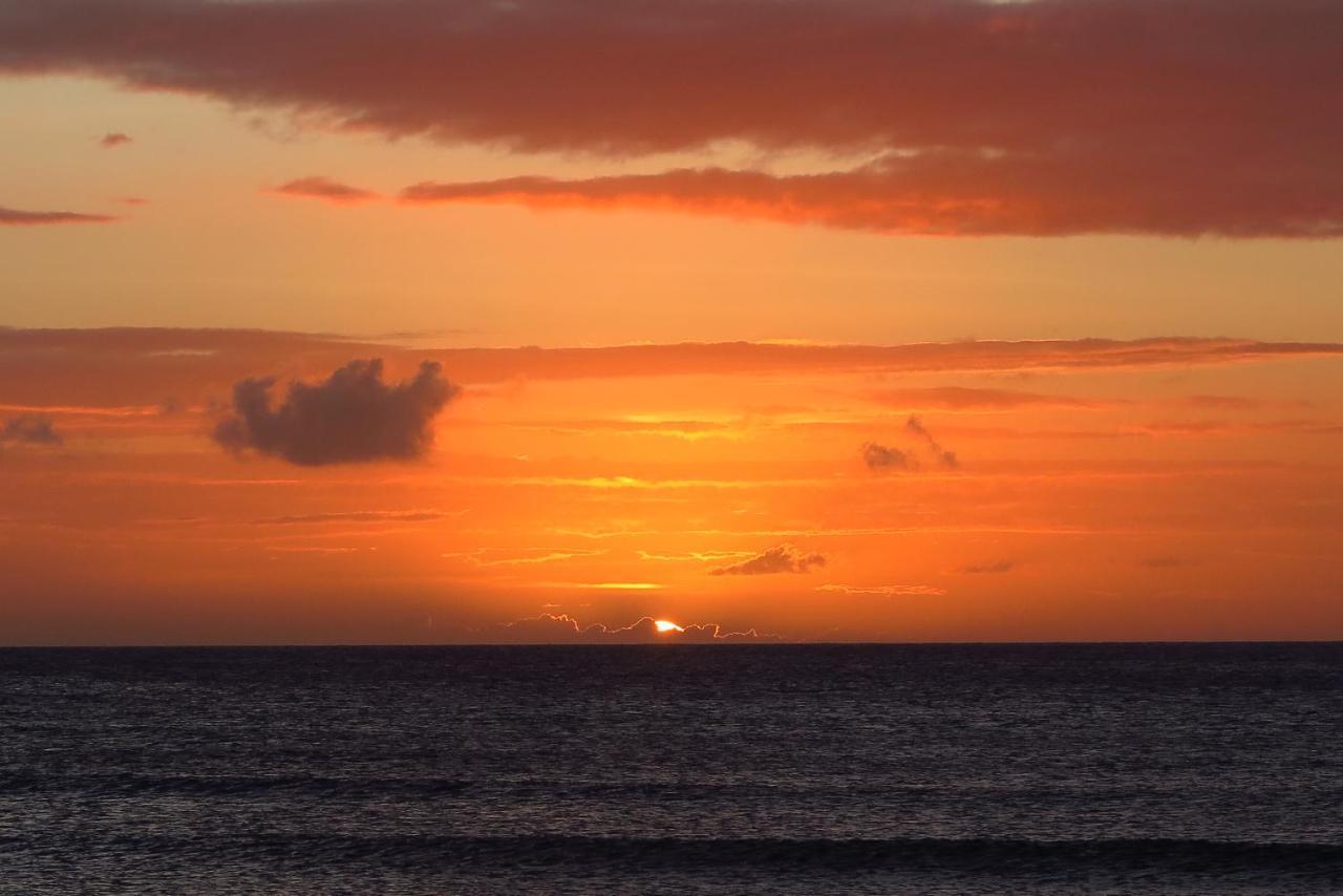 Aruba Sunset Beach Studios Palm Beach Екстер'єр фото