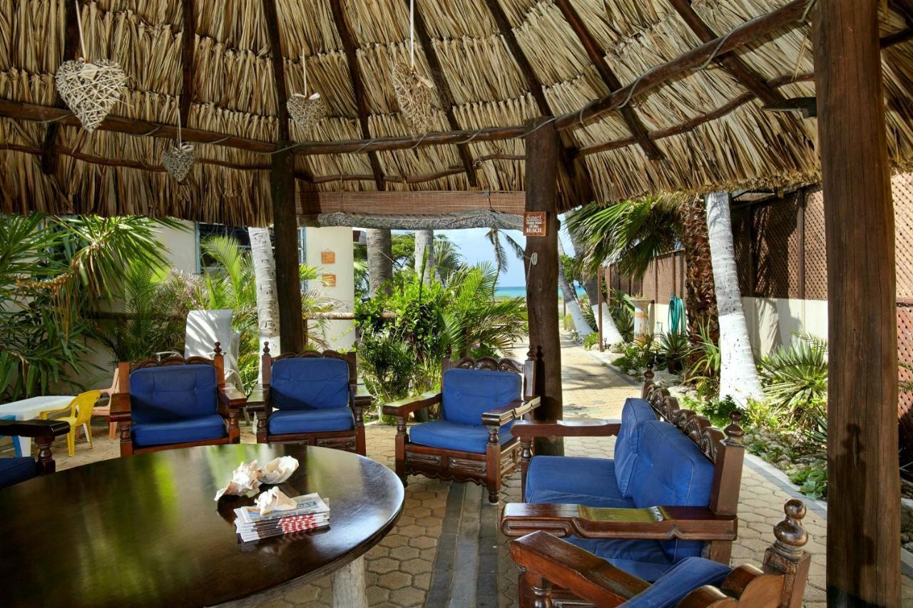 Aruba Sunset Beach Studios Palm Beach Екстер'єр фото