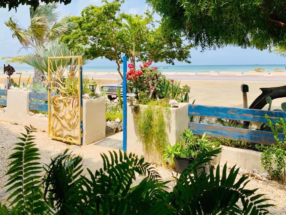 Aruba Sunset Beach Studios Palm Beach Екстер'єр фото