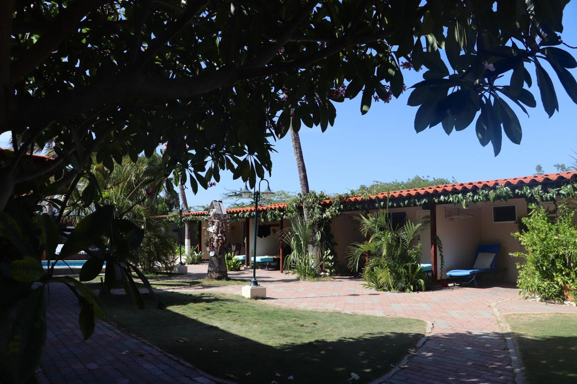 Aruba Sunset Beach Studios Palm Beach Екстер'єр фото