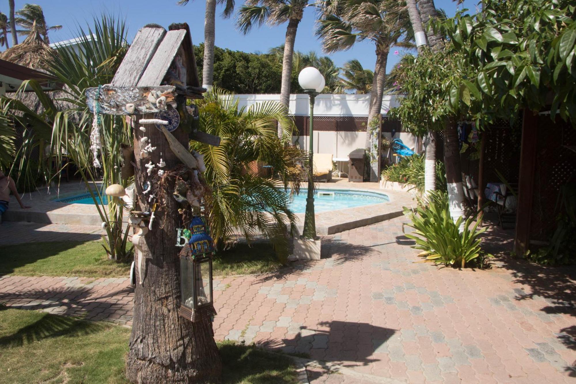 Aruba Sunset Beach Studios Palm Beach Екстер'єр фото