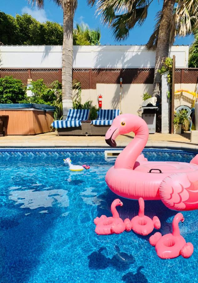 Aruba Sunset Beach Studios Palm Beach Екстер'єр фото
